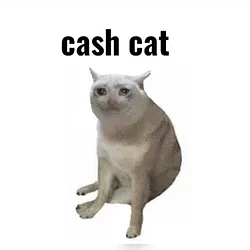 CASHCAT / SOL
