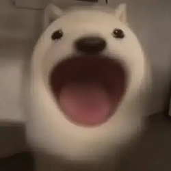 popdog / SOL