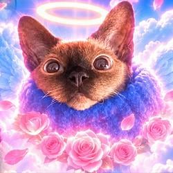 猪小肠