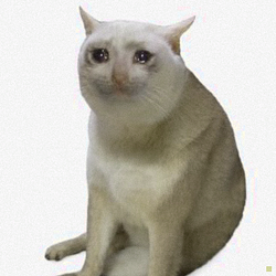 CASHCAT / WETH