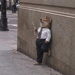 INU