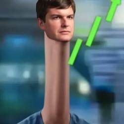 THE BIG LONG