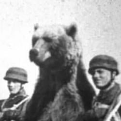 Wojtek / SOL