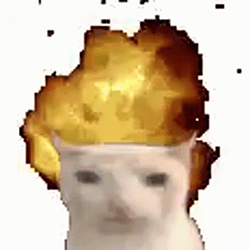 아이딧Cat / BNB
