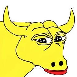 BULLRUN