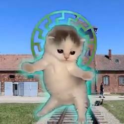 CAUSTCAT