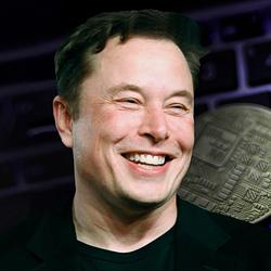 ELON / SOL