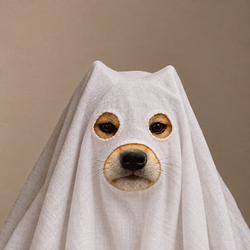 Ghosts