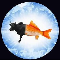 $BULLish
