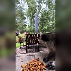 HANGRY
