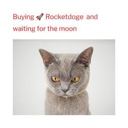 RocketDog