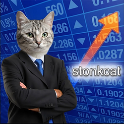 CHONK