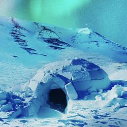 INUIT