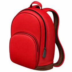 🎒