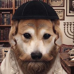 ZIONINU