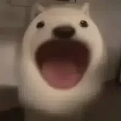 popinu