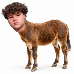 Jackass