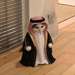 ARABMICHI