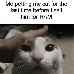 RAM