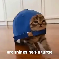 capcat