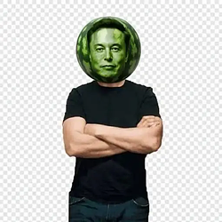 Melon