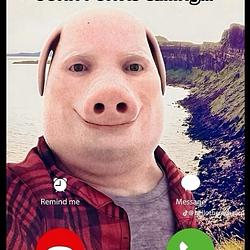 PORK