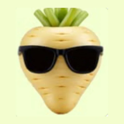 ElegantParsnip7913