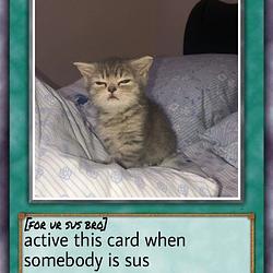 SUS
