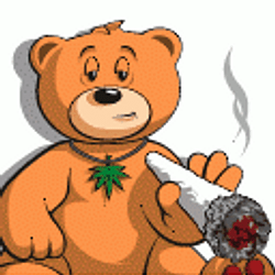 420BEAR