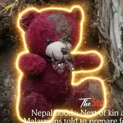 TEDDYBEAR