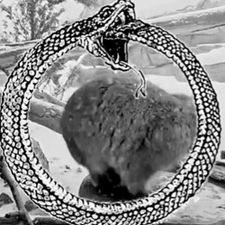Ouroboros