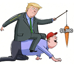 DIVIDEND