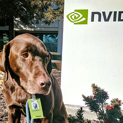 Nvidia Office Dog