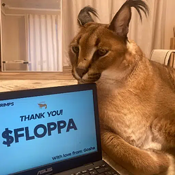 Floppa