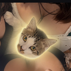 wif / SOL