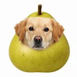 Peared