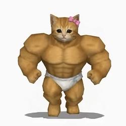 Muscle Cat