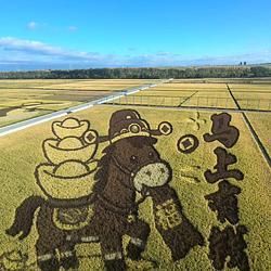 马上有钱 / WETH