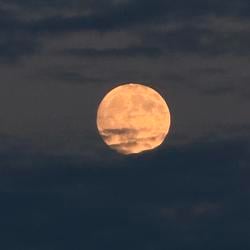 FULLMOON