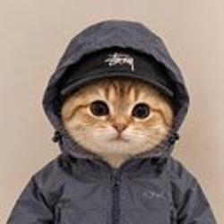 GORPCAT / WETH
