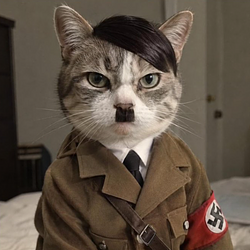 RACISTCAT / SOL