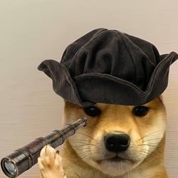 dogwifcolumbu