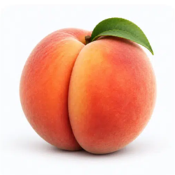 ASS