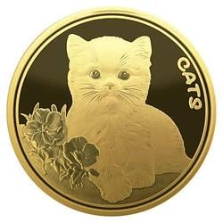 Castcash / SOL