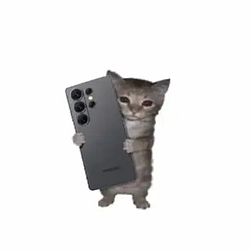 sam