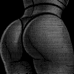 Asset