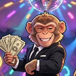 Monkey / SOL