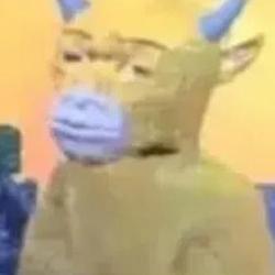 牛回