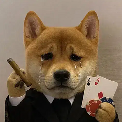 casinu