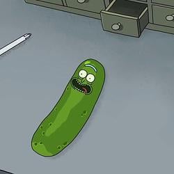PICKLE / SOL